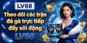 Theo dõi các trận đá gà trực tiếp đầy sôi động